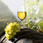 Развиваем винный туризм! Стройотряд РСТ едет в Крым собирать виноград